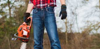 Utslag av klimaendringene: Tyver stjeler oliventrær med motorsag