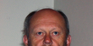 Industritopp Stein Lier-Hansen går til Bellona