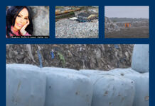 «Søppeldronning» nekter straffskyld i svensk miljøskandale