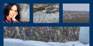 «Søppeldronning» nekter straffskyld i svensk miljøskandale