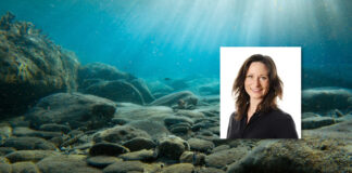 Norge lobber i EU om havbunnsmineraler