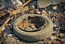 Clean Ocean tok opp 30 tonn avfall fra havbunnen i fjor. Det går i bildekk, båter og biler