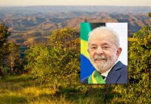 Lula roses for å redde regnskog, men kritiseres for å glemme cerradoen Cerrado i Brasil og president da Lula.