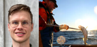 Nå er Debio miljømerke på fisk her: Norsk, klimavennlig og tatt uten bunntråling Frøstrup, leder i Debio, og fiske i Vesterålen.