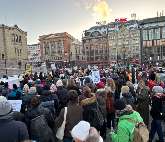 En halv million underskrifter imot hjalp ikke – Stortinget vil ha gruvedrift på havbunnen Protest mot gruvedrift på havbunnen utenfor Stortinget.