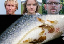 Opprop: Norske oppdrettsanlegg må tettes eller stenges