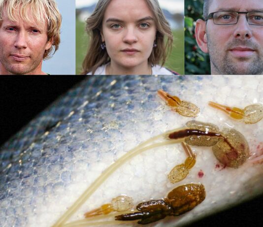 Opprop: Norske oppdrettsanlegg må tettes eller stenges