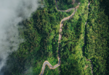 AAK presses for palmeoljetilknytning – Oljefondet eier over 1 % i selskapet