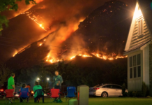WEF-rapport: Klimaendringer vil forårsake millioner av dødsfall innen 2050 Skogbrann i 2021. Illustrasjonsfoto.
