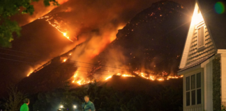 WEF-rapport: Klimaendringer vil forårsake millioner av dødsfall innen 2050 Skogbrann i 2021. Illustrasjonsfoto.