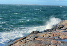 Naturvernforbundet krever forbud mot bunntråling i verneområder ved Hvaler, Færder og Raet Ytre Hvaler Nasjonalpark. Tisler. Herføl.