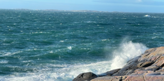 Naturvernforbundet krever forbud mot bunntråling i verneområder ved Hvaler, Færder og Raet Ytre Hvaler Nasjonalpark. Tisler. Herføl.