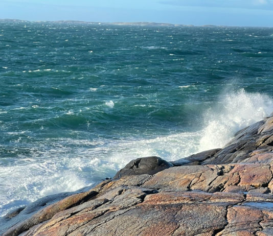 Naturvernforbundet krever forbud mot bunntråling i verneområder ved Hvaler, Færder og Raet Ytre Hvaler Nasjonalpark. Tisler. Herføl.