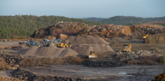 – Stå vakt om naturen