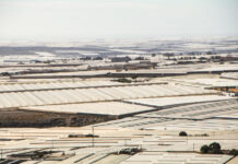Coop og Bamas tomatprodusenter bryter menneskerettigheter i Spania Drivhusene i Almería, Spania.