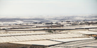Coop og Bamas tomatprodusenter bryter menneskerettigheter i Spania Drivhusene i Almería, Spania.