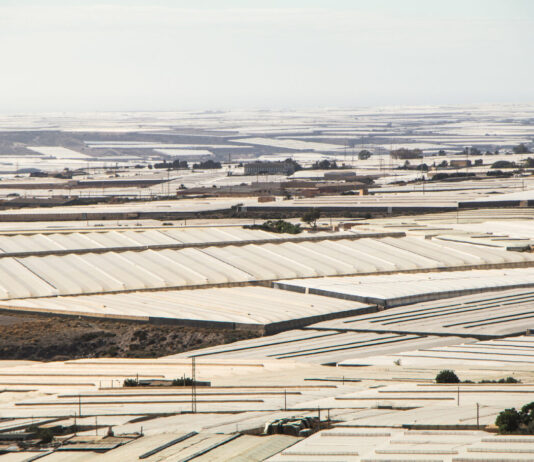 Coop og Bamas tomatprodusenter bryter menneskerettigheter i Spania Drivhusene i Almería, Spania.