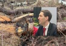 Naturtap: Nå vil 83 kommuner revidere gamle utbyggingsplaner Andreas Bjelland Eriksen. Hogst.