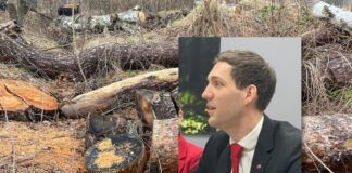 Naturtap: Nå vil 83 kommuner revidere gamle utbyggingsplaner Andreas Bjelland Eriksen. Hogst.