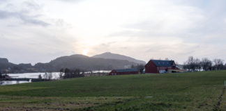 Liten forsøksstasjon med stor betydning for Vestlandsbonden Furuneset. Nibio.