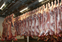 Forsker mener Gilde-kampanje om rødt kjøtt er misvisende