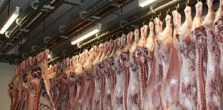 Forsker mener Gilde-kampanje om rødt kjøtt er misvisende