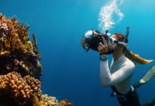 “Bør være en global vekker”: For fjerde gang oppstår massiv bleking av korallrev Dykking. Diving.