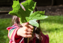Den store artsjakten: Til helgen kan du være folkeforsker