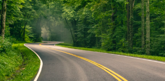 Undersøkelse: Vi kaster 700 tonn søppel langs veiene hvert år Road.