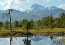 Norge kan få ny nasjonalpark
