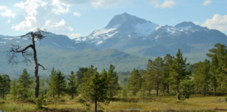 Norge kan få ny nasjonalpark