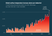 FN-sjefen: – Vi spiller russisk rulett med planeten vår C3S.
