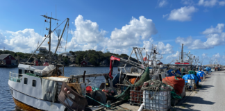 Bunntråling: Hvalers ordfører går i krigen for rekefiskerne Reketrålere i Utgårdskilen.