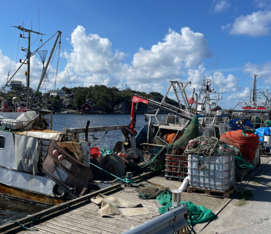 Inngripende fiskeritiltak foreslås for å redde Oslofjorden Reketrålere i Utgårdskilen.