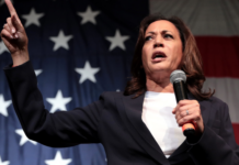 Kamala Harris utløser giverglede hos klimabevisste velgere Kamala Harris.