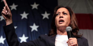 Kamala Harris utløser giverglede hos klimabevisste velgere Kamala Harris.