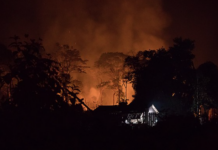 Fra flom til skogbranner – Brasil hardt rammet av klimaendringer Skogbrann. Amazonas.