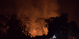 Fra flom til skogbranner – Brasil hardt rammet av klimaendringer Skogbrann. Amazonas.