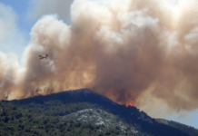 Betydelige CO2-utslipp fra skogbranner det siste året Skogbrann.