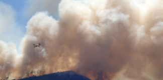 Betydelige CO2-utslipp fra skogbranner det siste året Skogbrann.