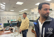 Spillet om atomkraftverkene