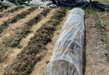 Avis: Undercover-journalist avslørte grov utnyttelse av arbeidere ved tysk økogård