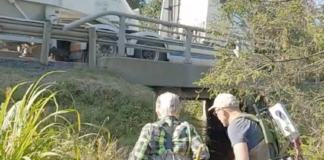 Sjøørreten trives godt, veiutbygging til tross