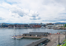 Naturvernforbundet frykter økosystemet i Oslofjorden vil kollapse