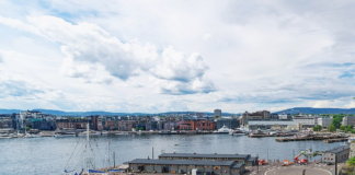 Naturvernforbundet frykter økosystemet i Oslofjorden vil kollapse