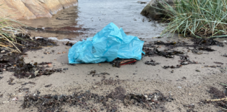 Innførte plastposeforbud. Nå kommer resultatene