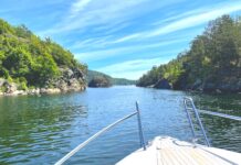 Klimaforsker om tidenes varmeste sommer: – Den mest skremmende grafen jeg har sett Sommervarme.