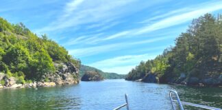 Klimaforsker om tidenes varmeste sommer: – Den mest skremmende grafen jeg har sett Sommervarme.