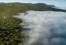 Mer naturvennlig matproduksjon i Brasil er mulig