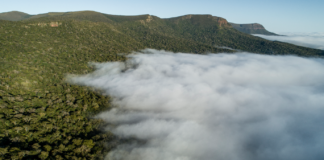 Mer naturvennlig matproduksjon i Brasil er mulig